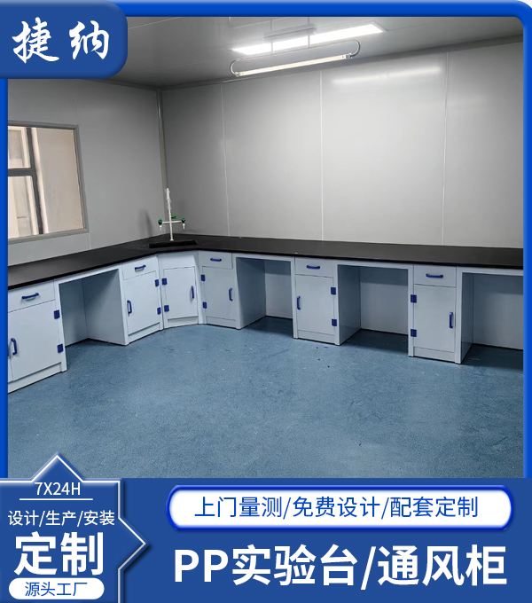 PP實(shí)驗(yàn)臺/通風(fēng)柜